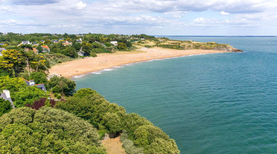 Nuestro inventario incluye una amplia variedad de vehículos.